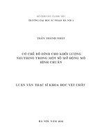 Luận văn cơ chế bổ đính cho khối lượng neutrino trong một số mở rộng mô hình chuẩn 