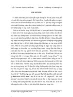 Tiểu luận Ảnh hưởng của việc nạo phá thai tới sức khỏe sinh sản tuổi vị thành niên ở Việt Nam