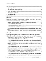 Luận văn tốt nghiệp Đảng bộ huyện Cái Nước chỉ đạo thực hiện xây dựng mô hình nông thôn mới giai đoạn 2008-2011