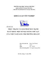 Thực trạng và giải pháp đẩy mạnh xuất khẩu một số mặt hàng chủ lực của việt nam sang thị trường hoa kỳ 
