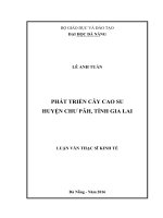 Luận văn thạc sĩ phát triển cây cao su huyện chư păh, tỉnh gia lai 