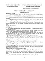 kế hoạch bồi dưỡng học sinh giỏi 