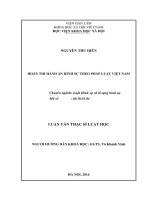 Hoãn thi hành án hình sự theo pháp luật việt nam 