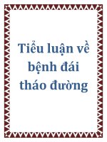 Tiểu luận về bệnh đái tháo đường 