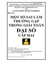 MOT SO SAI LAM THUONG GAP TRONG GIAI TOAN DAI SO CAP HAI