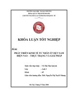 Phát triển tư nhân ở việt nam hiện nay   thực trạng và giải pháp 