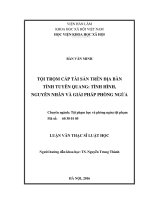 Tội trộm cắp tài sản trên địa bàn tỉnh tuyên quang tình hình, nguyên nhân và giải pháp phòng ngừa 
