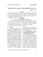 Một số ý kiến về phân tích đô thị hóa ở Việt Nam