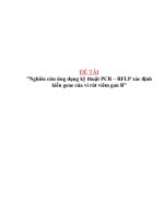 Tiểu luận nghiên cứu ứng dụng kỹ thuật PCR – RFLP xác định kiểu gene của vi rút viêm gan b