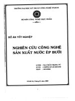 Nghiên cứu công nghệ sản xuất nước ép bưởi 