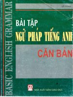 BÀI TẬP NGỮ PHÁP TIẾNG ANH CĂN BẢN LÊ DŨNG