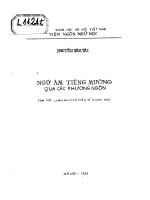 Ngữ âm tiếng mường qua các phương ngôn 