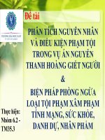 Phân tích nguyên nhân và điều kiện phạm tội trong vụ án nguyễn thanh hoàng giết người  biện pháp phòng ngừa loại tội phạm xâm phạm tính mạng, sức khỏe, danh dự, nhân phẩm 