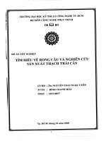 Tìm hiểu về rong câu và nghiên cứu sản xuất thạch rau câu 