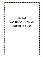 Tiểu luận vấn đề an toàn vệ sinh thực phẩm 