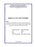 Nghiên cứu mô hình xúc tiến và hỗ trợ thương mại điện tử cho doanh nghiệp   kinh nghiệm trên thế giới và bài học đối với việt nam 