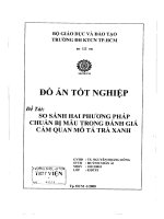 So sánh hai phương pháp chuẩn bị mẫu trong đánh giá cảm quan mô tả trà xanh 