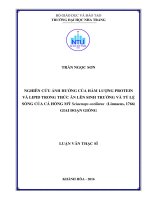 Nghiên cứu ảnh hưởng của hàm lượng protein và lipid trong thức ăn lên sinh trưởng và tỷ lệ sống của cá hồng mỹ sciaenops ocellatus (linnaeus, 1766) giai đoạn giống 