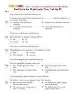 Bộ đề kiểm tra 15 phút môn Tiếng Anh lớp 12