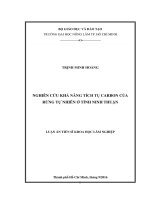Nghiên cứu khả năng tích tụ carbon của rừng tự nhiên ở tỉnh ninh thuận