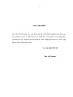 Chính sách thương mại quốc tế của việt nam trong điều kiện hội nhập kinh tế quốc tế 