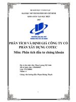Phân tích công ty xây dựng Cotec CTD