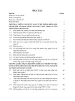 Hoàn thiện hệ thống kiểm soát nội bộ nhằm tăng cường kiểm soát rủi ro trong các hoạt động kinh doanh vàng, ngoại tệ của Ngân hàng thương mại cổ phần Á Châu