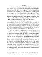 TIỂU LUẬN CHUYÊN NGÀNH   tác ĐỘNG của PHÂN hóa GIÀU NGHÈO đến xây DỰNG TIỀM lực CHÍNH TRỊ TINH THẦN nền QUỐC PHÒNG TOÀN dân ở VIỆT NAM