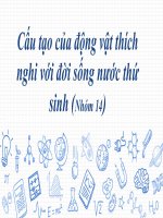 Bài thuyết trình nhóm  cấu tạo của động vật thích nghi với đời sống nước thứ sinh