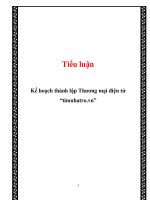 Kế hoạch thành lập thương mại điện tử “timnhatro vn” 