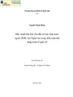 Đẩy mạnh thu hút vốn đầu tư trực tiếp nước ngoài vào Nghệ An trong điều kiện hội nhập kinh tế quốc tế.