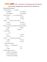 Bộ bài tập trắc nghiệm Tiếng Anh lớp 6 Unit 5: Things I do