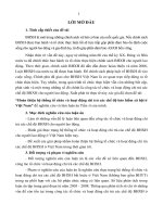Hoàn thiện hệ thống tổ chức và hoạt động chi trả các chế độ bảo hiểm xã hội ở Việt nam.PDF