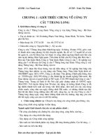 Tiểu luận lập giá dự thầu đối với nhà thầu 