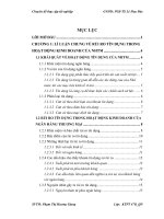 Giải pháp phòng ngừa và hạn chế rủi ro tín dụng tại ngân hàng thương mại cổ phần kỹ thương việt nam   techcombank 