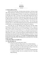 Các nhân tố ảnh hưởng đến hành vi người tiêu dùng đối với hoạt động Mobile Marketing tại khu vực nội thành Hà Nội.PDF