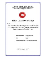 Môi trường đầu tư trực tiếp nước ngoài của việt nam trên bản đồ các nước đông á, thực trạng và giải pháp 