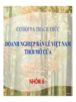 Cơ hội và thách thức doanh nghiệp bán lẻ việt nam thời mở cửa 