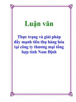 Thực trạng và giải pháp đẩy mạnh tiêu thụ hàng hóa tại công ty thương mại tổng hợp tỉnh nam định 