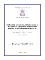 Nghiên cứu đặc điểm lâm sàng, xét nghiệm và đánh giá kết quả điều trị bệnh bạch cầu cấp dòng lympho nhóm nguy cơ cao ở trẻ em theo phác đồ CCG 1961 (FULL TEXT)