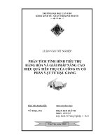 Phân tích tình hình tiêu thụ hàng hóa và giải pháp nâng cao hiệu quả tiêu thụ của công ty cổ phần vật tư hậu giang 