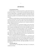 Cơ cấu hàng hoá xuất khẩu của Việt nam - Thực trạng và giải pháp