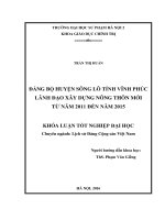 Đảng bộ huyện sông lô tỉnh vĩnh phúc lãnh đạo xây dựng nông thôn mới từ năm 2011   2015 