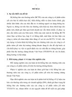 Hoàn thiện hệ thống báo cáo thường niên trong các công ty cổ phần niêm yết trên thị trường Chứng khoán Việt Nam.PDF