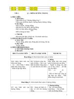 Giáo án hình học lớp 6 kỳ 1 