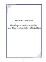 Hệ thống các văn bản hiện hành, hoạt động và các nghiệp vụ ngân hàng 