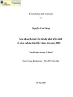 Giải pháp thu hút vốn đầu tư phát triển kinh tế nông nghiệp tỉnh Bắc Giang đến năm 2010
