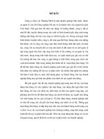 Giải pháp hoàn thiện về tổ chức và lực lượng bán hàng nhằm nâng cao khả năng cạnh tranh và mở rộng thị trương nội địa của công ty giầy thượng đình 