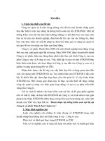 Hoàn thiện hệ thống kiểm soát nội bộ tại Công ty cổ phần Thạch Bàn Viglacera