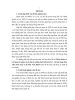 Hoàn thiện cơ chế quản lý ngân sách cấp xã nhằm phát triển kinh tế - Xã hội nông thôn Việt nam(Lấy ví dụ tỉnh Nam Định)